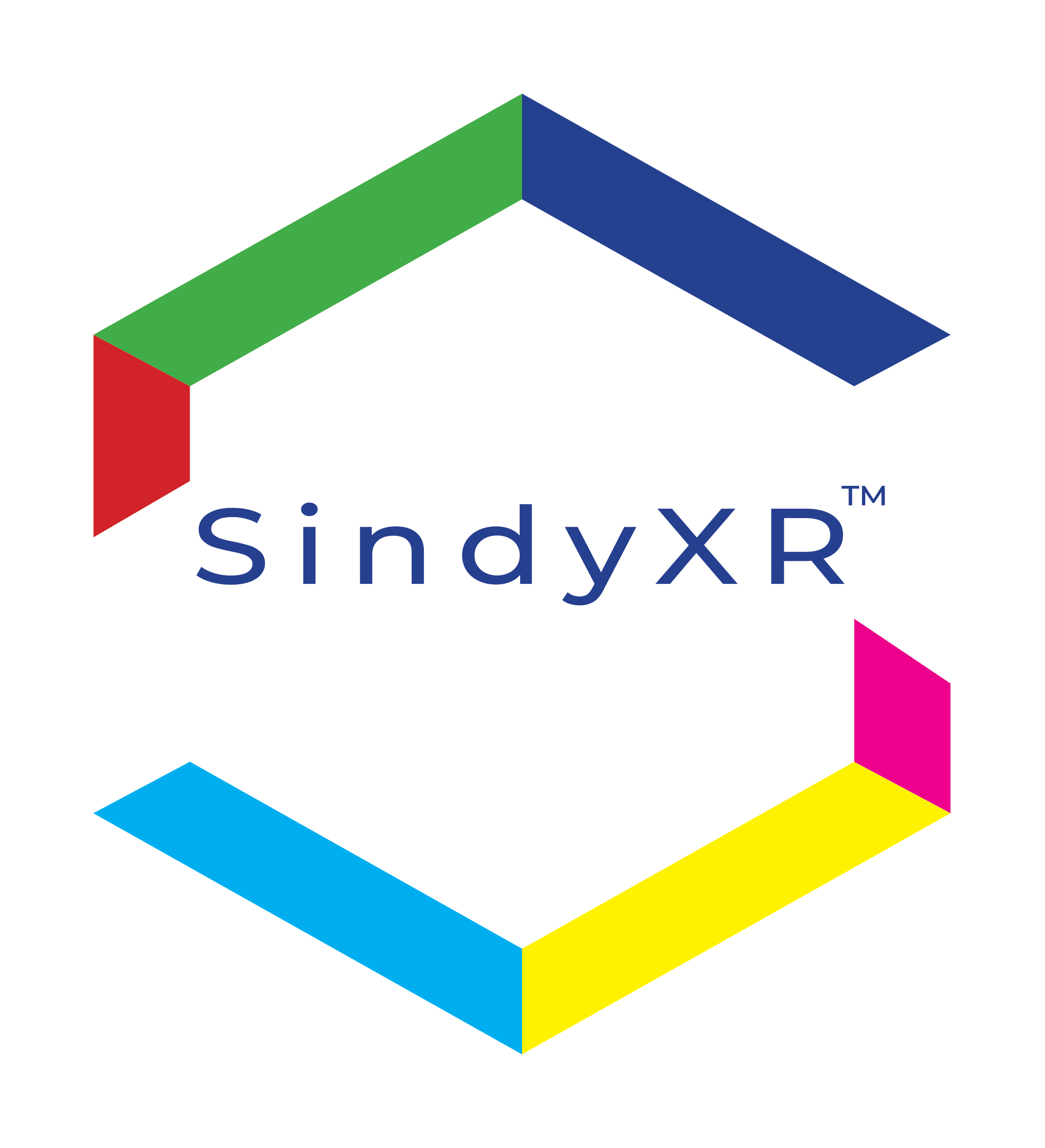SindyXR logo